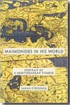 Maimonides in his world. 9780691137636