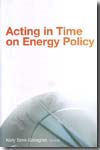 Acting in time on energy policy