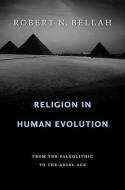 Religion in human evolution