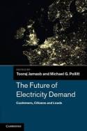The future of electricity demand. 9781107008502
