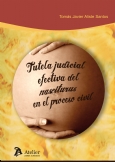 La tutela judicial efectiva del nasciturus en el proceso civil