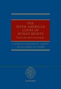 The Inter-american Court of Human Rights
