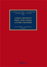 Liber Amicorum Prof. José María Gondra Romero
