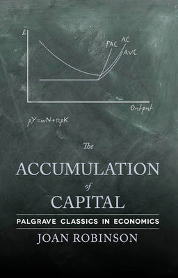 The accumulation of capital. 9780230249325