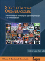 Sociología de las organizaciones 