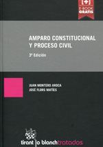 Amparo constitucional y proceso civil