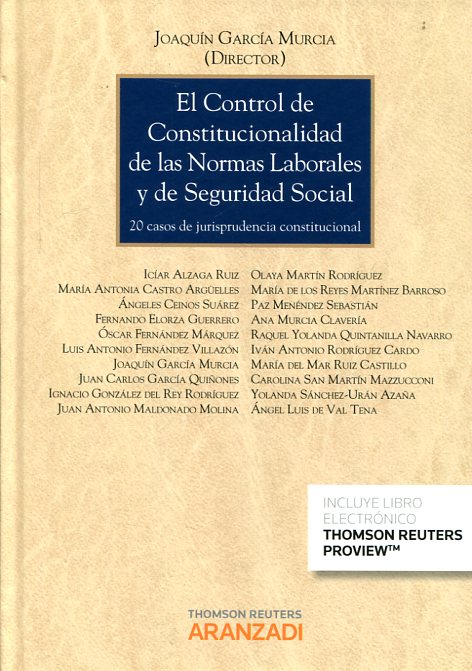 El control de constitucionalidad de las normas laborales y de Seguridad Social