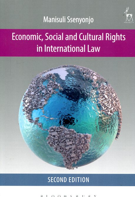 Economic, social and cultural rights in international Law. 9781849466073