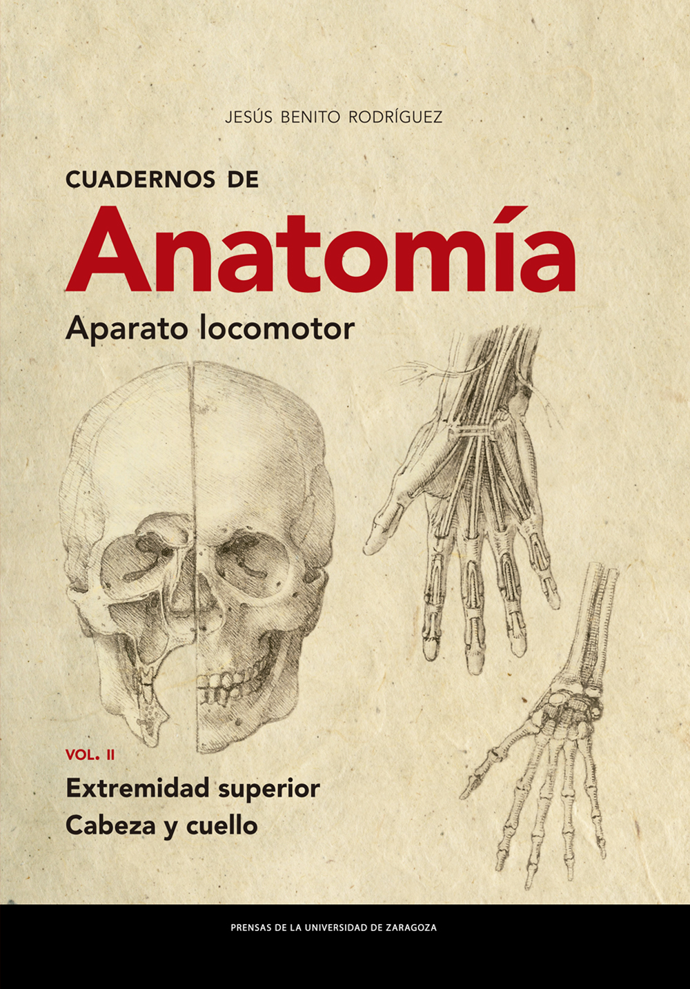 Cuadernos de Anatomía. Aparato locomotor. 9788413401867