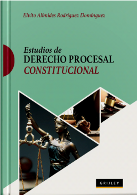 Estudios de Derecho procesal constitucional. 9789972047404