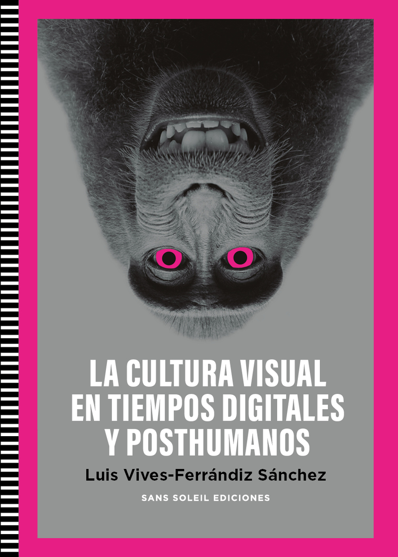 Cultura Visual en tiempos digitales y posthumanos. 9788412601510