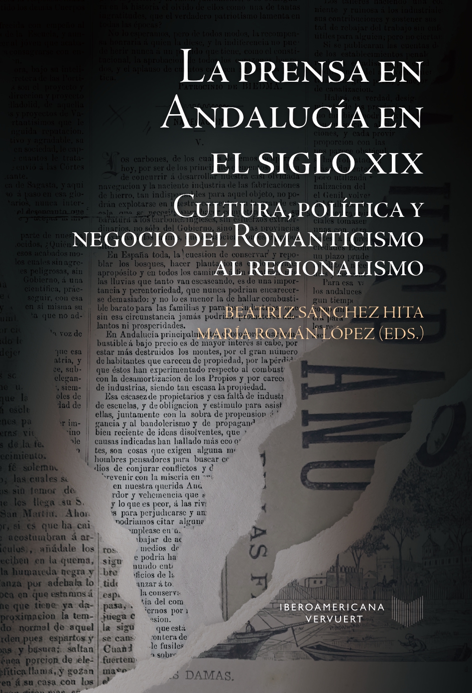 La prensa en Andalucía en el siglo XIX. 9788491922469