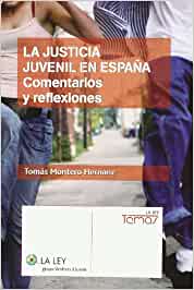 La justicia juvenil en España. 9788481262841