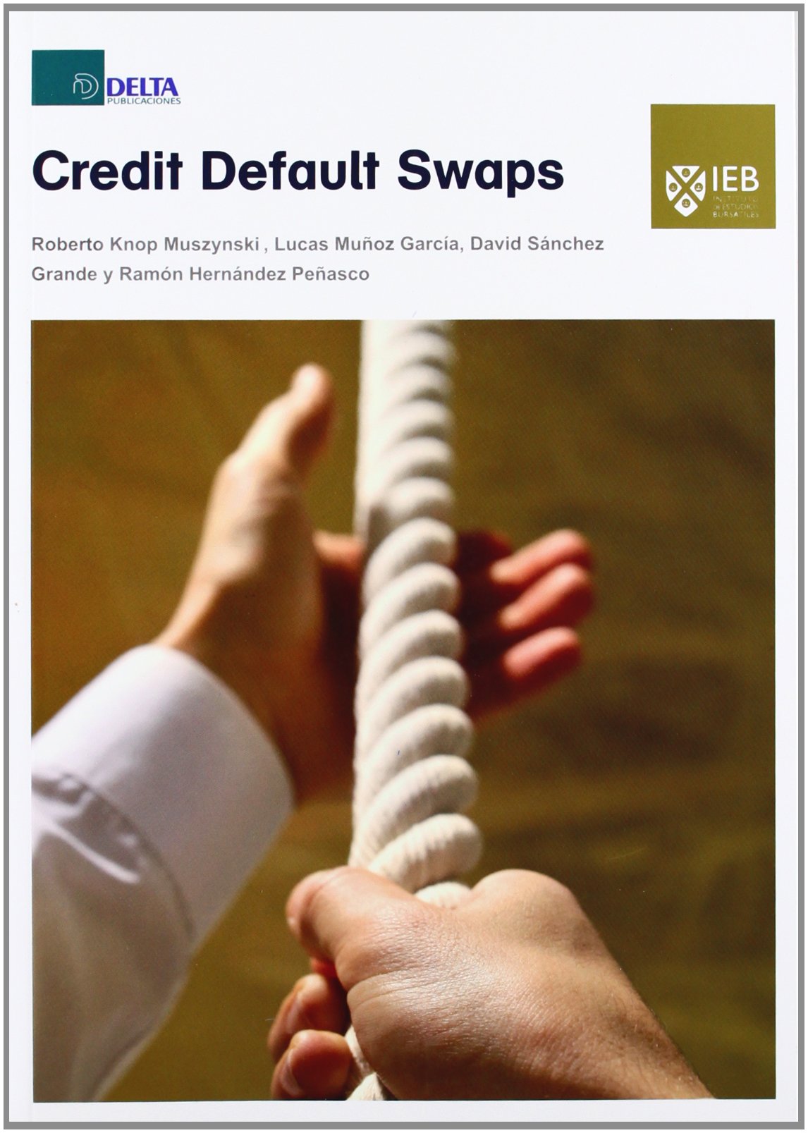 Credit default swaps. 9788415581079