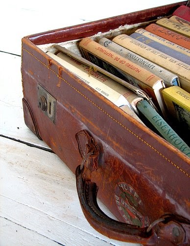La maleta de los libros