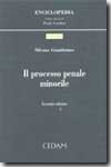 Il processo penale minorile. 9788813245740