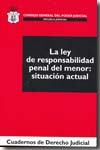 La Ley de Responsabilidad Penal del Menor. 9788496518698