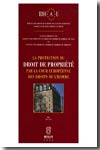 La protection du Droit de propriété par la Cour Européenne des Droits de l'Homme. 9782802721024