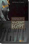 An introduction to the archaeology of ancient Egypt. 9781405111485