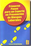 Primeros pasos para un experto en prevención de riesgos laborales. 100789943