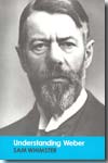 Understanding Weber