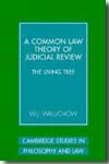 A Common Law theory of judicial review