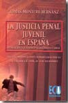 La justicia penal juvenil en España