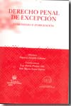 Derecho penal de excepción. 9788484568513
