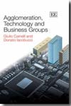 Agglomeration, technology and business groups