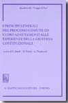 I principi generali del processo comune ed i loro adattamenti alle esperienze della giustizia costituzionale