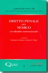 Diritto penale del nemico