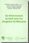 La delincuencia juvenil ante los juzgados de menores. 9788498760040