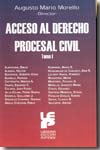 Acceso al Derecho procesal civil