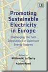Promoting sustainable electricity in Europe