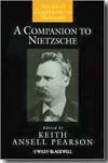 A companion to Nietzsche