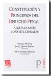 Constitución y principios del Derecho penal. 9788498768800