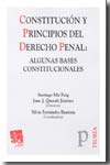 Constitución y principios del Derecho penal