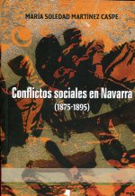 Conflictos sociales en Navarra. 9788476816943