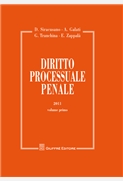 Diritto processuale penale. 9788814156076