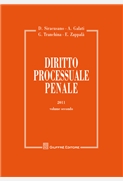 Diritto processuale penale