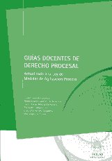 Guías docentes de Derecho procesal