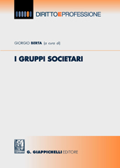 I gruppi societari. 9788875241902