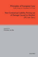 Non-contractual liability arising out of damage caused to another