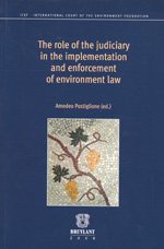 The role of the judiciary in the implementation and enforcement of environment Law. 9782802726456