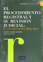 El procedimiento registral y su revisión judicial