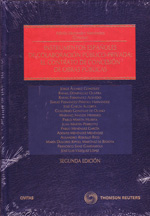 Instrumentos españoles de colaboración público-privada. 9788447034673