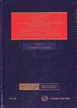 Los Derechos fundamentales en el Derecho penal europeo. 9788447035182