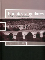 Puentes singulares de la provincia de Salamanca. 9788477973393