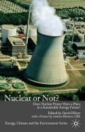 Nuclear or not?. 9780230507647