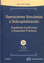 Operaciones vinculadas y subcapitalización. 9788499038124